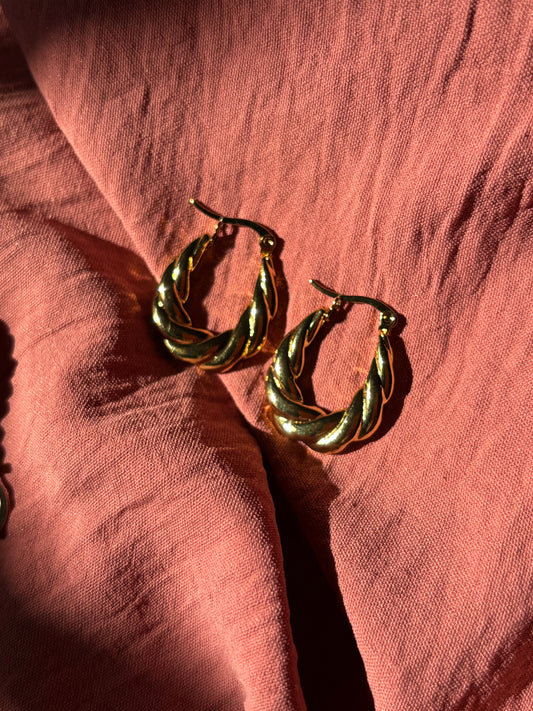 Nani Hoops