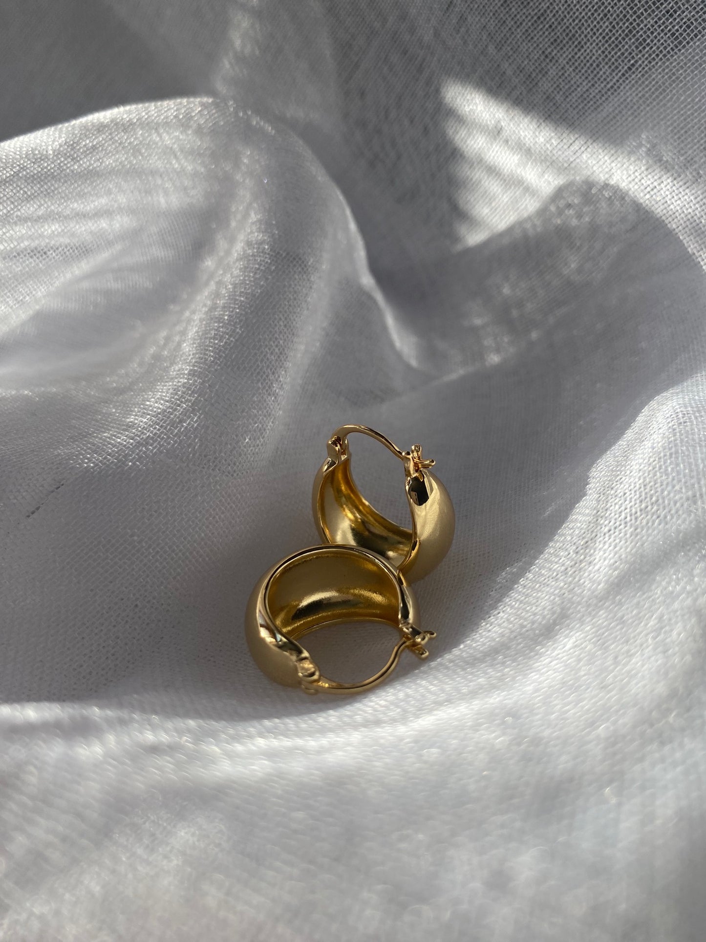 Isabel Hoops