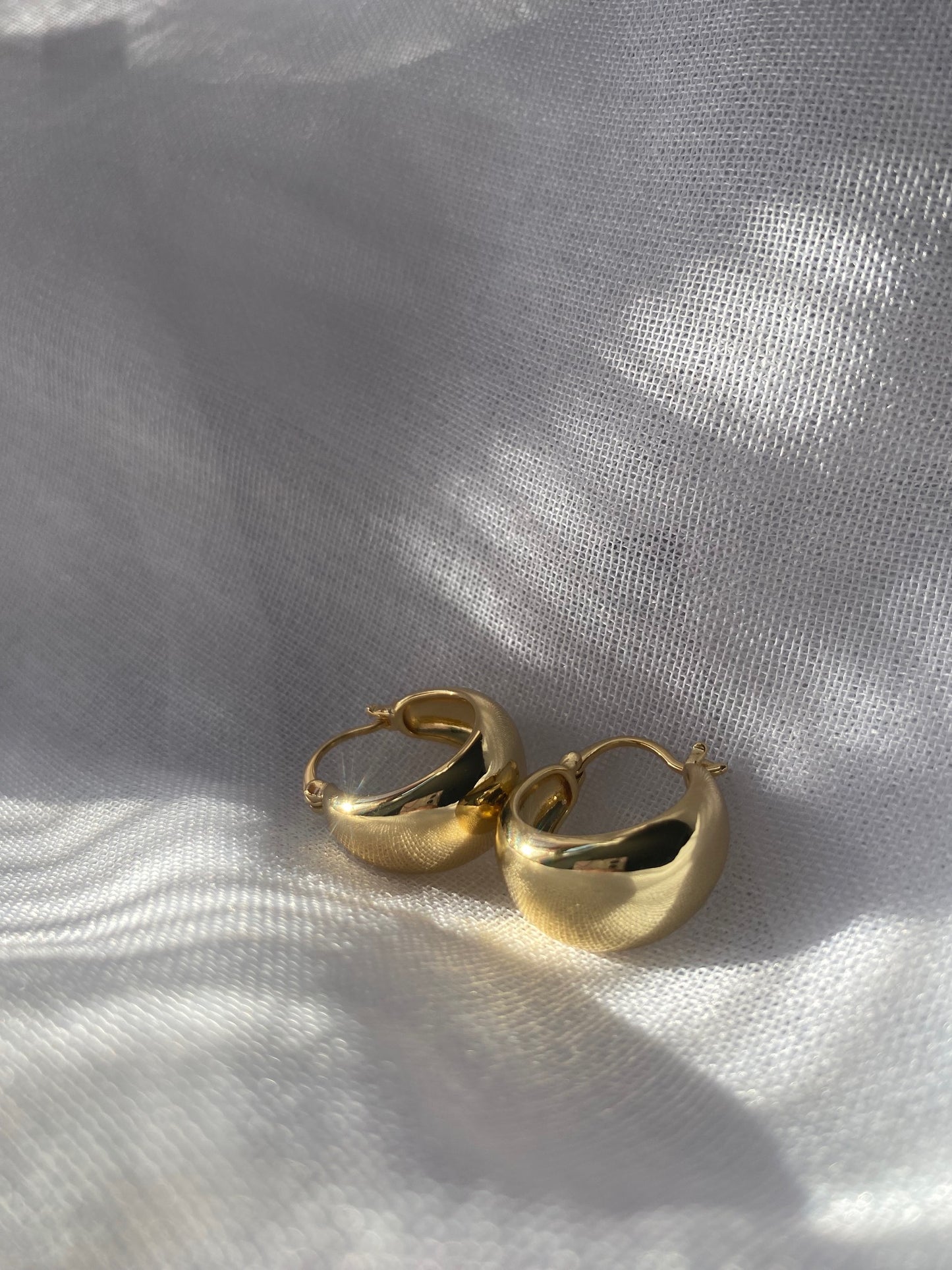 Isabel Hoops