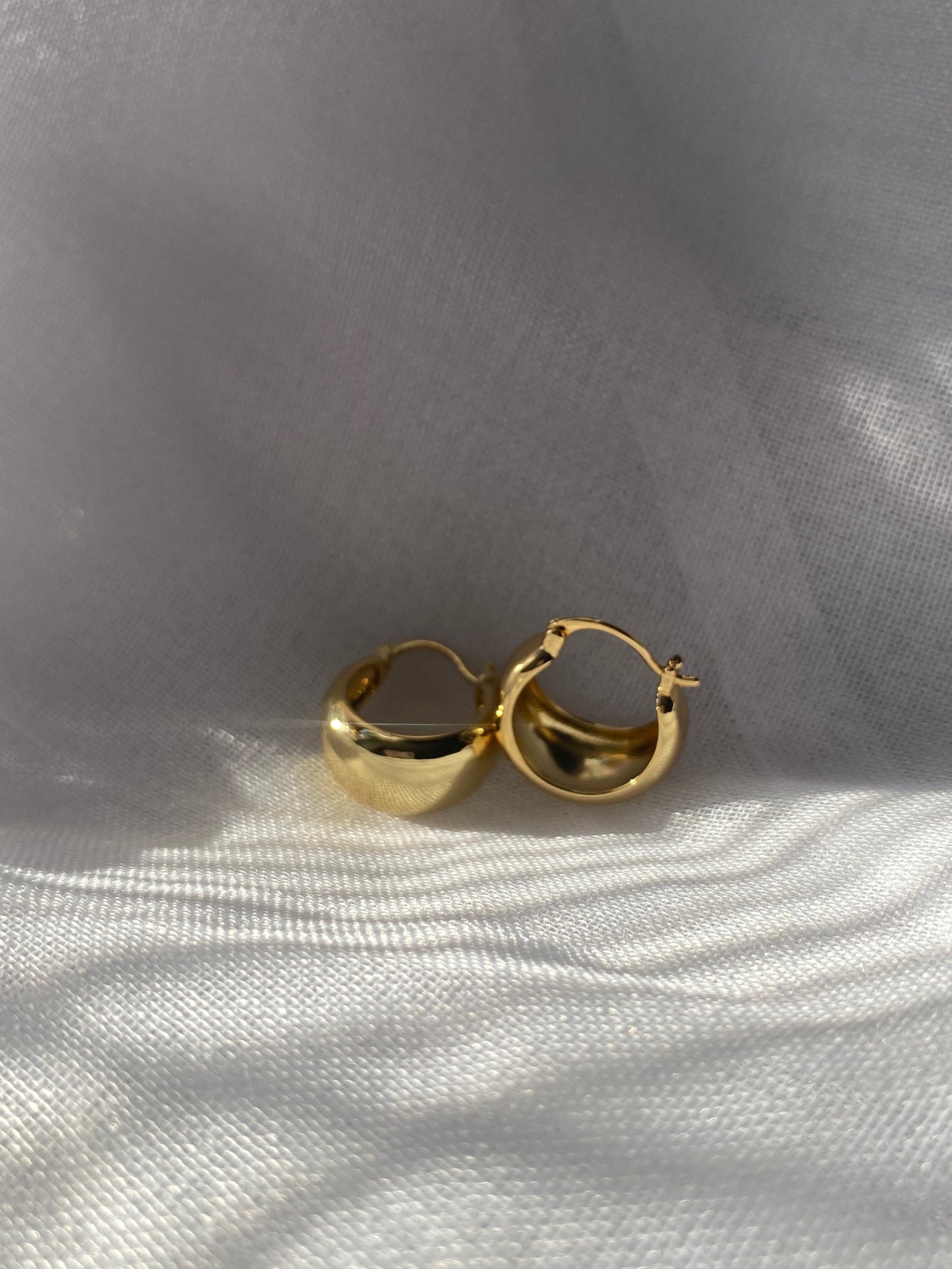 Isabel Hoops